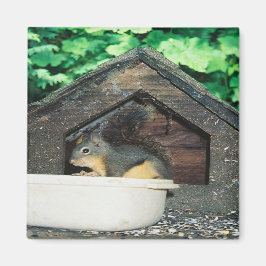 Mein Freund... Magnet