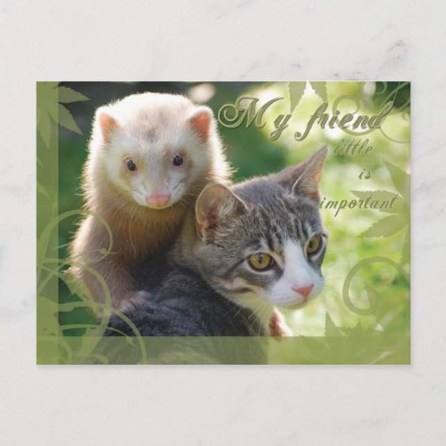 Mein Freund Postkarte (Vorderseite)