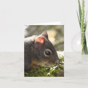 Mein Freund schwindelt Karte