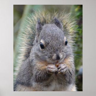 Mein Freund schwindelt Poster