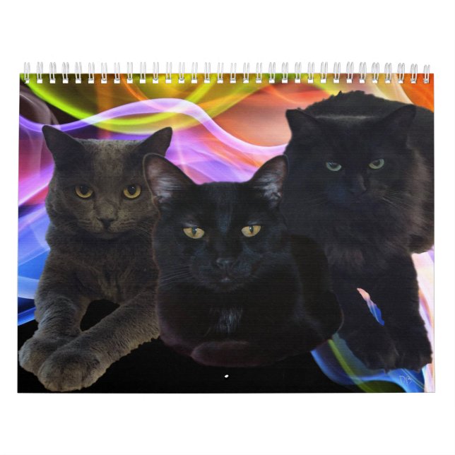 Mein Freund-Trio Kalender (Titelbild)