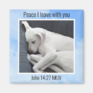 Mein Frieden, den ich dir Bible Verse Dog in Blue  Magnet