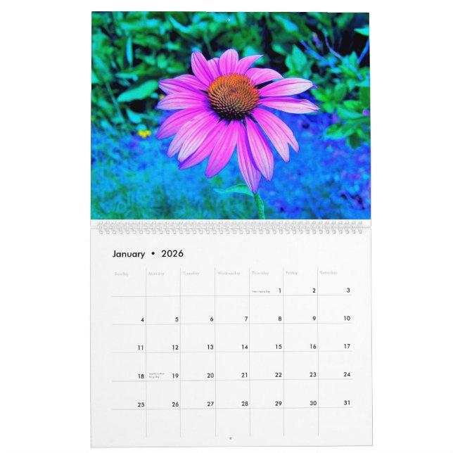 Mein Gartenkalender 2023 Blume Kalender (Jan 2026)