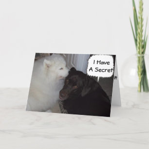 MEIN GEHEIM IST, DASS ICH LIEBE, DASS SIE JEDEN WI KARTE