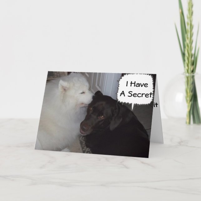 MEIN GEHEIM IST, DASS ICH LIEBE, DASS SIE JEDEN WI KARTE (Vorderseite)