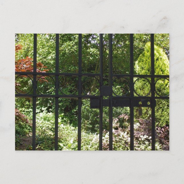 Mein Geheimgarten Postkarte (Vorderseite)