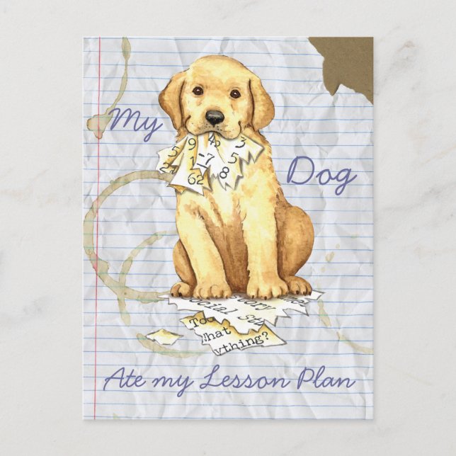 Mein Gelbe Labrador hat meinen Lektionsplan aufgeg Postkarte (Vorderseite)