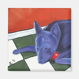 Mein Geliebter Magnet