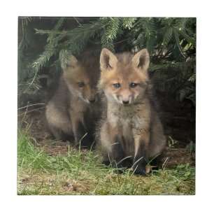 Mein Geschwister Fliese