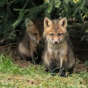 Mein Geschwister Postkarte