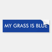 MEIN GRAS IST BLAU