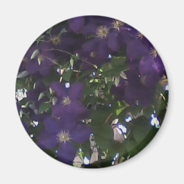 Mein Handy-Foto der Clematiker der Mama Magnet