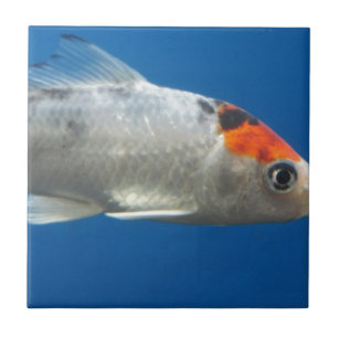 Mein Haustier Koi Fisch Fliese