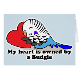 Mein Herz gehört einem blauen budgie