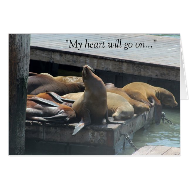 Mein Herz geht weiter (Vorderseite (Horizontal))