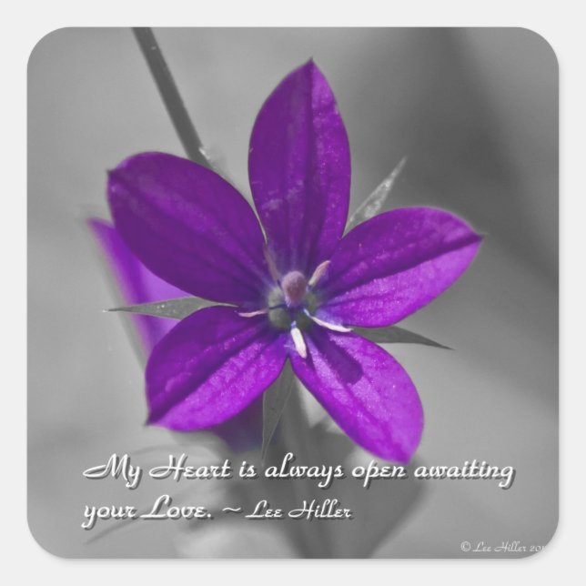 Mein Herz ist immer offen... Quadratischer Aufkleber (Vorderseite)