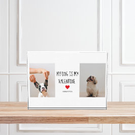 Mein Hund ist mein Valentine | Zwei Hunde - Fotos