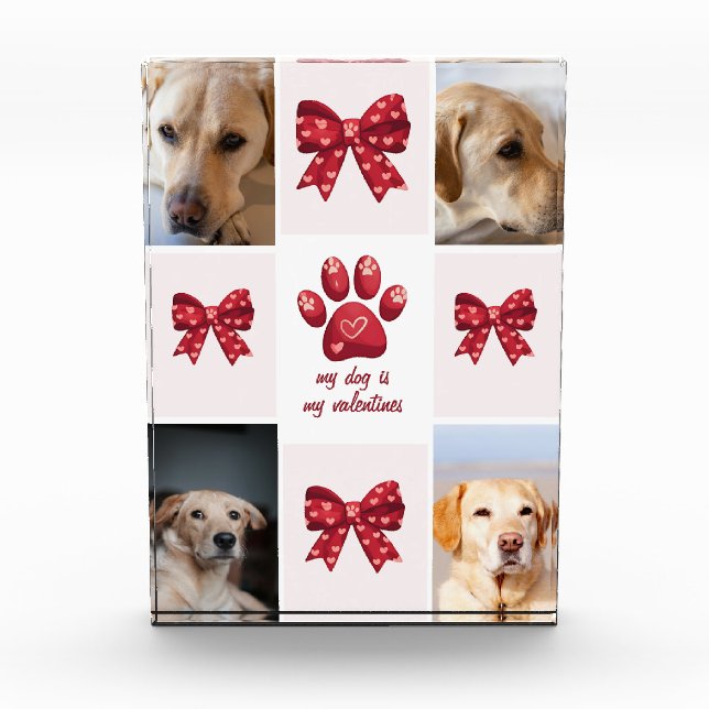 Mein Hund ist mein Valentiner, der 4 Fotos verbrau (Vorderseite)