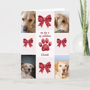 Mein Hund ist mein Valentins-Bow 4 Fotos Karte