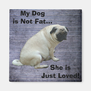 Mein Hund ist nicht fetter Mops Magnet