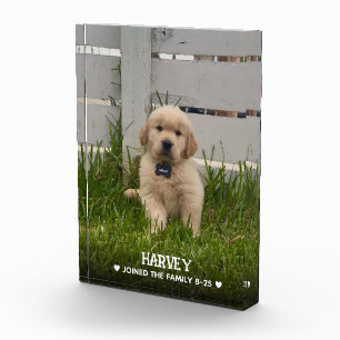 Mein Hunde-Foto Fotoblock