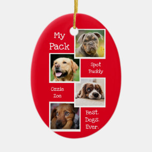Mein Hundefoto sammelt den besten Hund aller Zeite Keramik Ornament