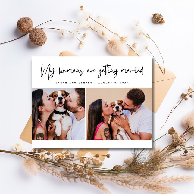 Mein Hundehund Foto Hochzeit rettet das Datum Ankündigungspostkarte (My Humans Dog Photo Wedding Save the Date Announcement Postcard)