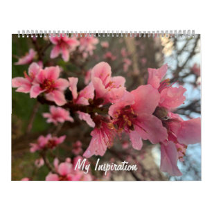 Mein Inspirationskalender Kalender