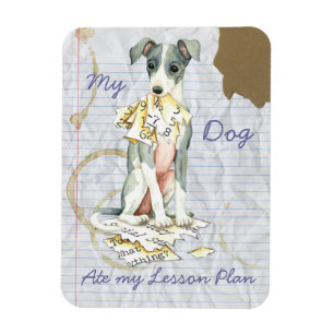 Mein italienischer Windhund aß meinen Magnet