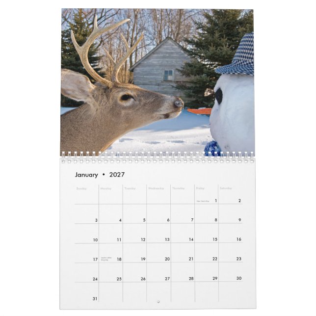 Mein Kalender (Jan 2027)