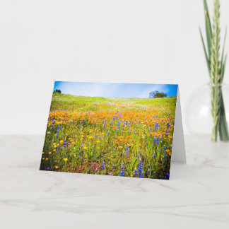 Mein Kalifornien 1 Karte