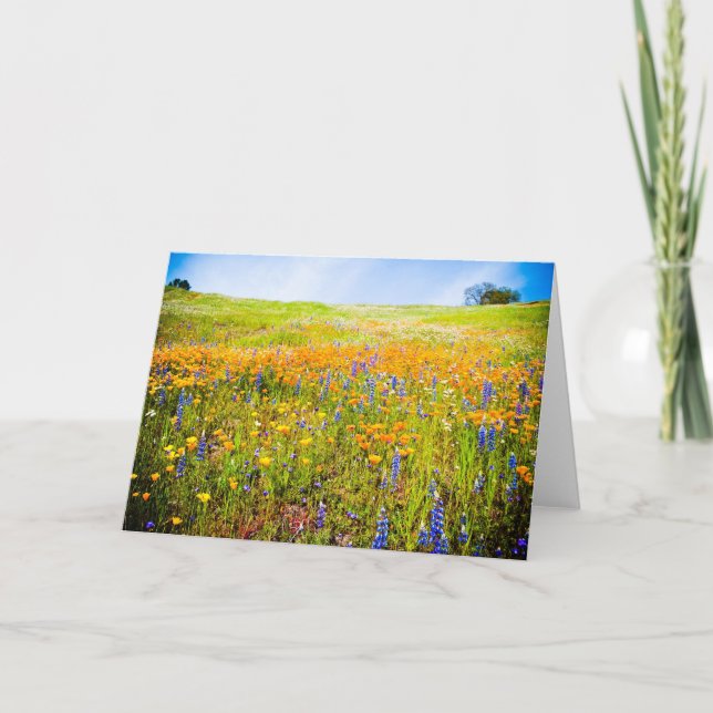 Mein Kalifornien 1 Karte (Vorderseite)