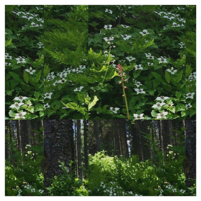 Mein kanadisches Trillium Stoff (Muster)