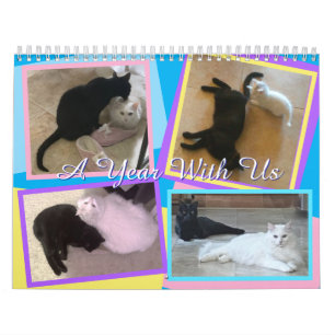 Mein Katzen Kalender
