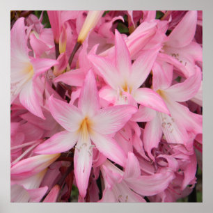 Mein kleiner Freund schläft...... Poster