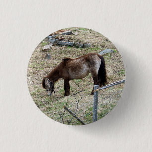 Mein kleiner Pony-Knopf Button