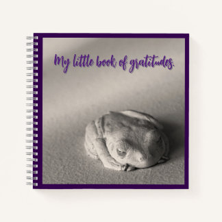 Mein kleines Buch Gratitudes.