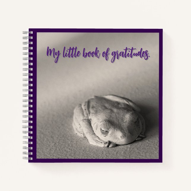 Mein kleines Buch Gratitudes. (Vorderseite)