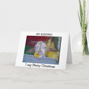 MEIN KLEINES SCHAF SAGT "FROHE WEIHNACHTEN" FEIERTAGSKARTE