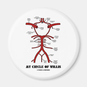 Mein Kreis von Willis (Arterien-anatomischer Spaß Magnet