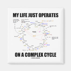 Mein Leben funktioniert nur auf einem komplexen Zy Magnet