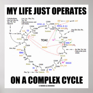 Mein Leben läuft nur auf einem komplexen Zyklus (K Poster