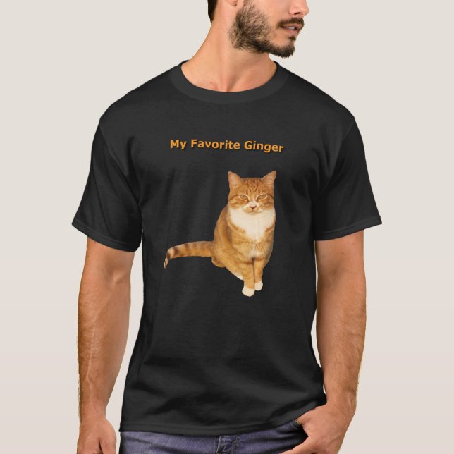Mein Lieblings-Ginger Orange Tabby Cat Kitty Lover T-Shirt (Vorderseite)