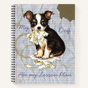 Mein Long Coat Chihuahua Ate meinen Lektionsplan Notizbuch