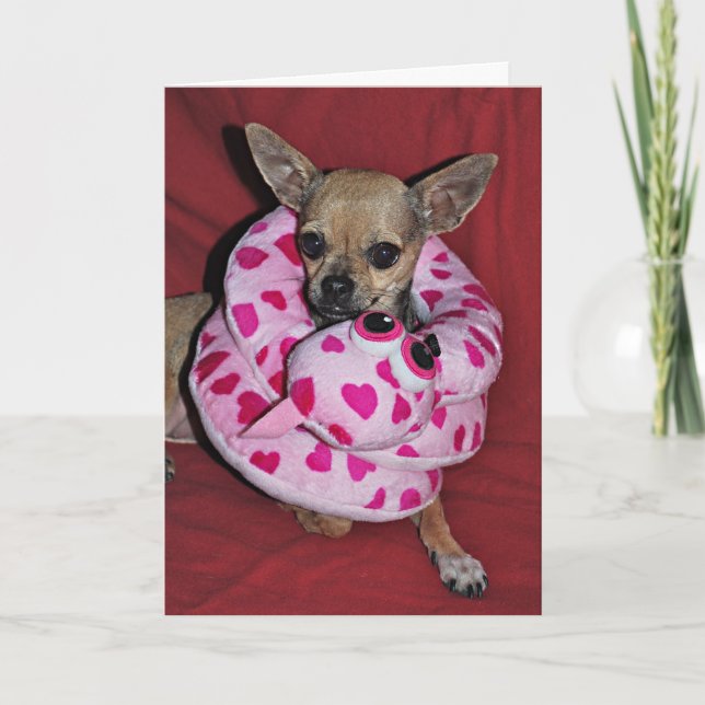 Mein lustiger Valentinsgruß Feiertagskarte (Vorderseite)