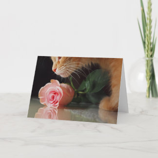 Mein lustiges Valentine Feiertagskarte