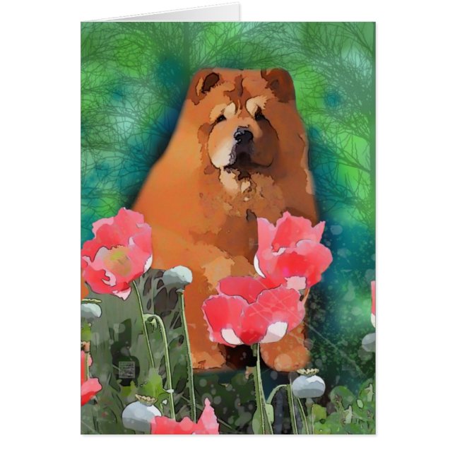 Mein Mädchen " Sassy the beautiful Chow" (Vorne)