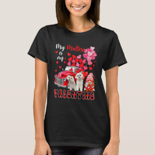 Mein Malteser ist mein Valentinstag Zwei Hunde mit T-Shirt