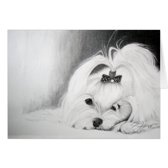 Mein maltesisches (Vorderseite (Horizontal))