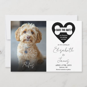 Mein Mensch heiratet Hund 2 Fotos Hochzeit Save The Date